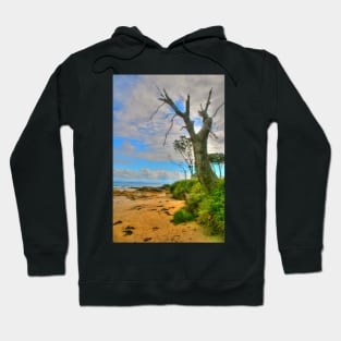 Currarong silhouette Hoodie